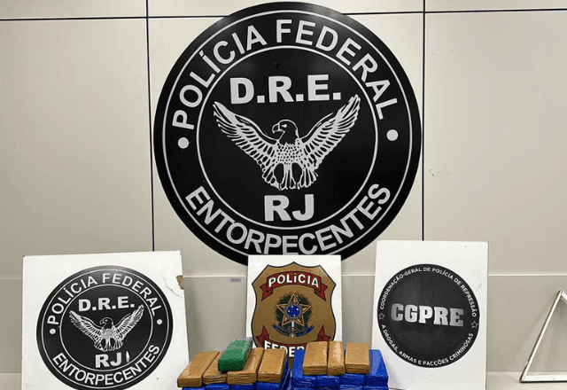 Droga foi encontrada em remessa falsa de produtos plásticos | Divulgação/PF