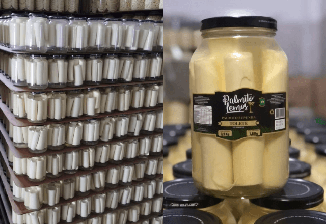 Potes de Palmito em conserva da marca Palmito Lemos | Reprodução