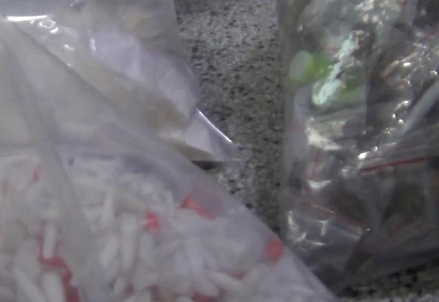 SP: polícia faz maior apreensão de K9 em duas "casas bomba" SP: polícia faz maior apreensão de K9 em duas "casas bomba"