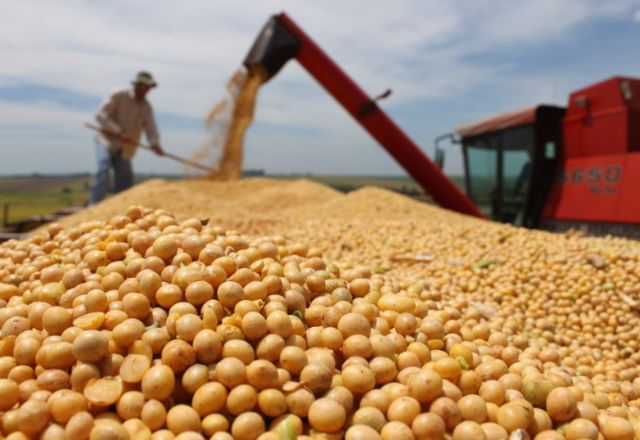 Safra de soja do verão deste ano decepciona agronegócio | Semadesc