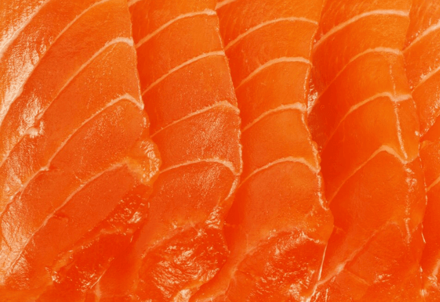 Salmões encontrados no Pacífico Norte abrigam parasita que não precisa de oxigênio para viver | Freepik
