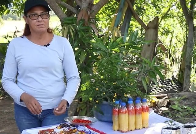 Samara Gentil é considerada a "Rainha da Pimenta" em Roraima | SBT News