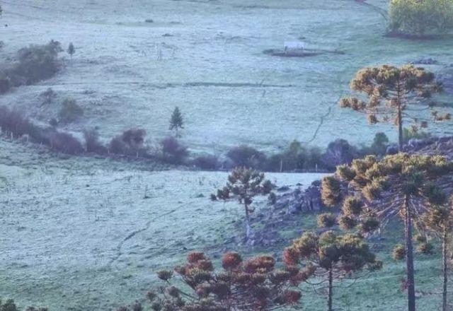 Menores temperaturas foram registradas nos municípios de Bom Jardim da Serra (-2,4ºC) e São Joaquim (-0,12ºC) | Mycchel Legnaghi/São Joaquim Online