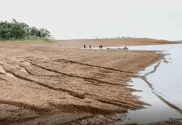 148 municípios decretam situação de emergência por causa da seca na região da Amazônia