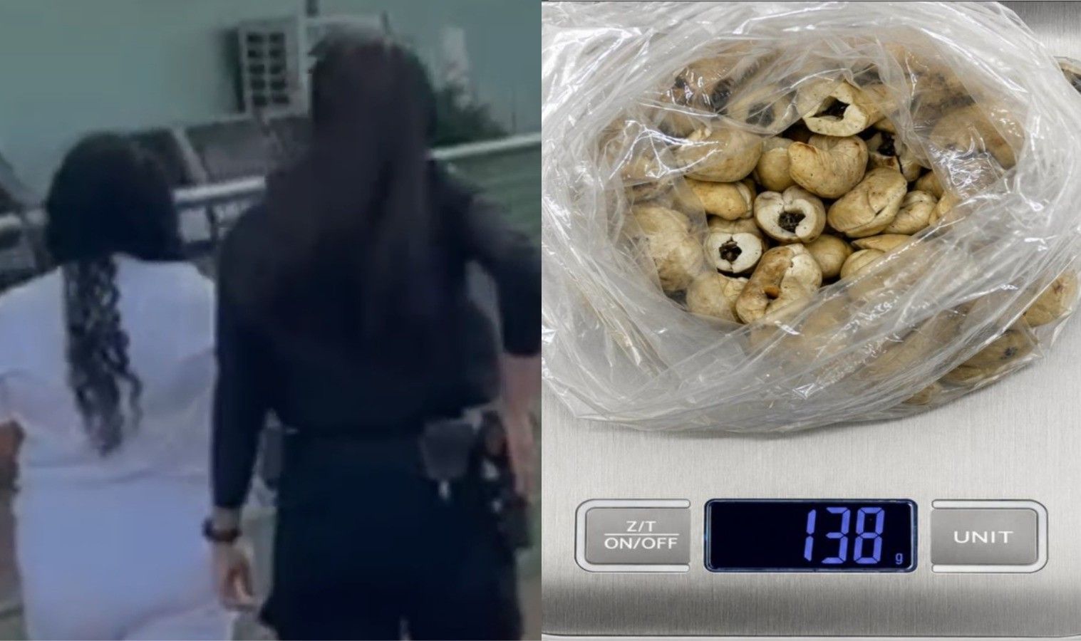 Imagem da notícia: Mulher é presa na Papuda com droga escondida em castanhas