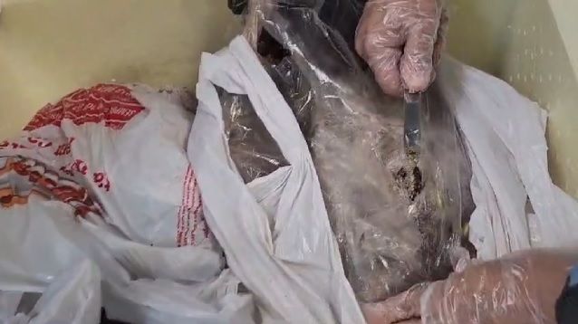 Homem é preso transportando maconha dentro de peixes em aeroporto do Rio