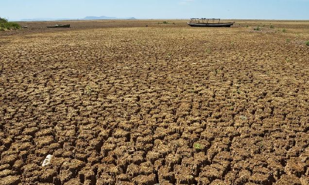 Dia Mundial do Meio Ambiente: desertificação intensifica seca no nordeste brasileiro