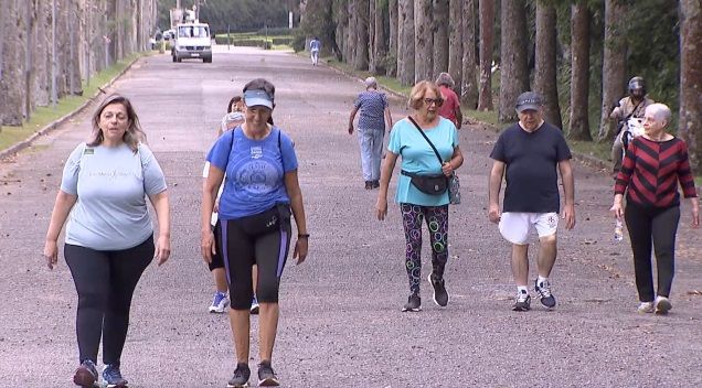 Prática de exercícios físicos podem prevenir ou retardar doenças como o Alzheimer 