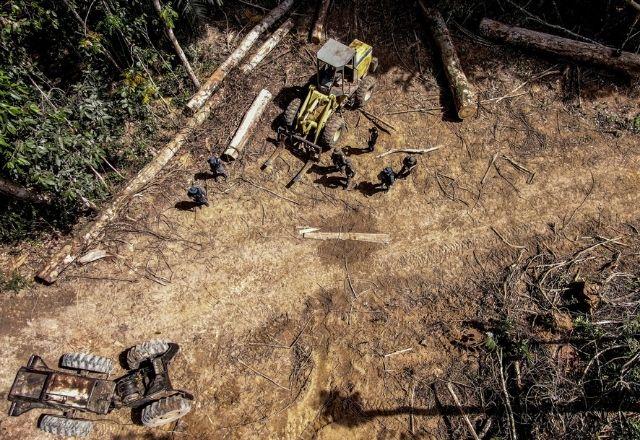 Índice ultrapassou o registrado em junho do ano passado, com 1.043 km² sob alerta | Alan Assis/Sema