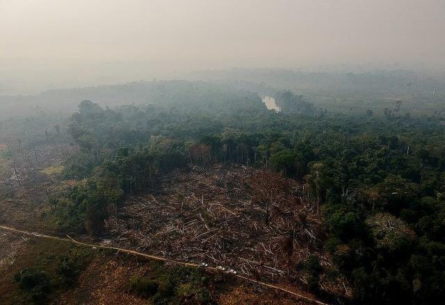 Senado antecipa projeto para reduzir gases do efeito estufa