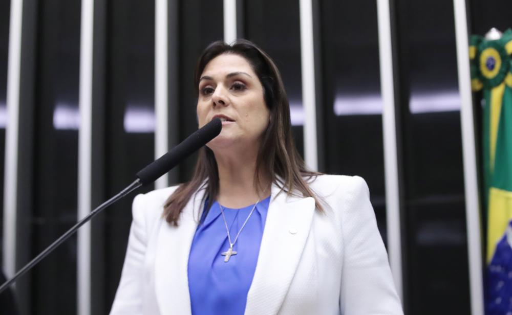 Autora do projeto, a deputada Simone Marquetto (MDB-SP), afirmou que cobrará o avanço do projeto no Senado | Zeca Ribeiro/Câmara dos Deputados