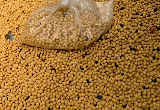 Soja em mercado em Pequim | Reuters