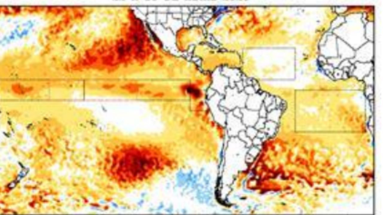 Imagem da notícia: Super El Niño: fenômeno deve impactar agro no Brasil Imagem da notícia: Super El Niño: fenômeno deve impactar agro no Brasil