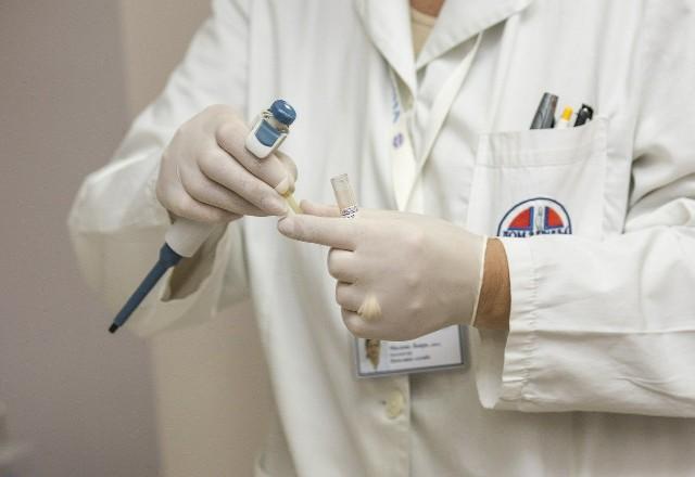 Superfungo fatal: confira o que se sabe até agora sobre o Candida auris