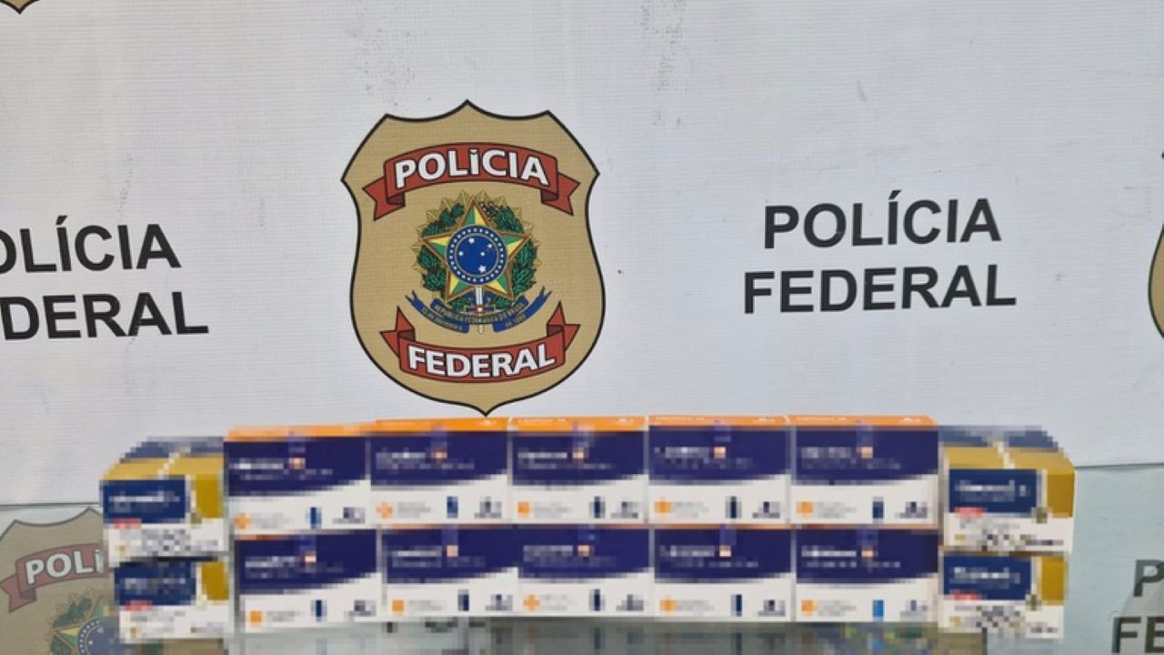 Suspeito não tinha documentação exigida para importação regular do produto | Divulgação/PF