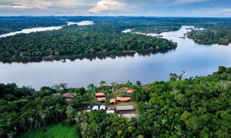 Floresta Amazônica | Prefeitura de São José do Xingu (MT)