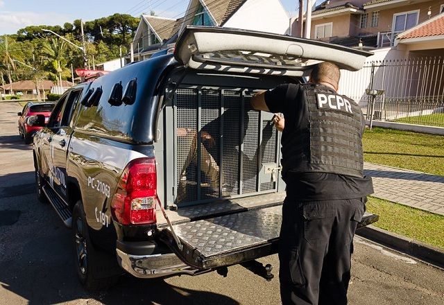 Técnico de enfermagem é preso em Curitiba | Reprodução