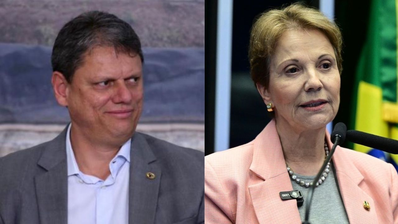 Tarcísio e empresários articulam Tereza na vice de Flávio Tarcísio e empresários articulam Tereza na vice de Flávio
