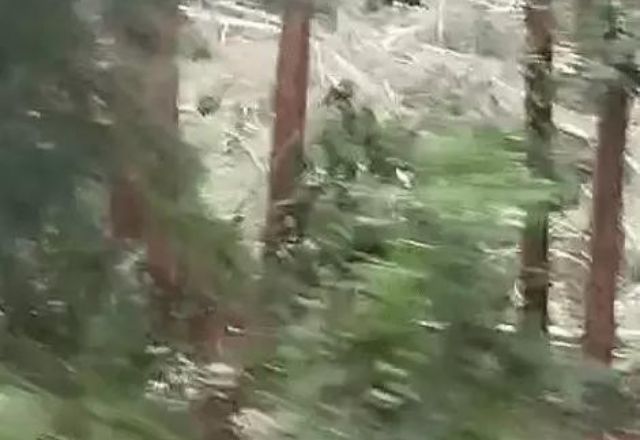 Vídeo: Tornado é registrado no oeste de Santa Catarina