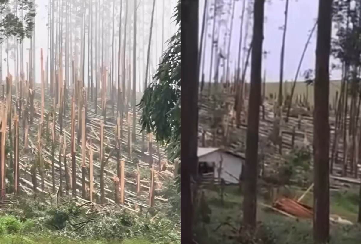 Dois tornados atingem o Paraná em intervalo de 10 horas Dois tornados atingem o Paraná em intervalo de 10 horas