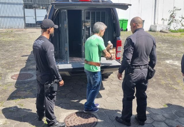 Contraventor foi transferido na Base Aérea do Galeão