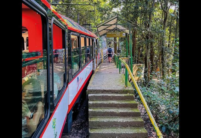 Trem do Corcovado completa 140 anos