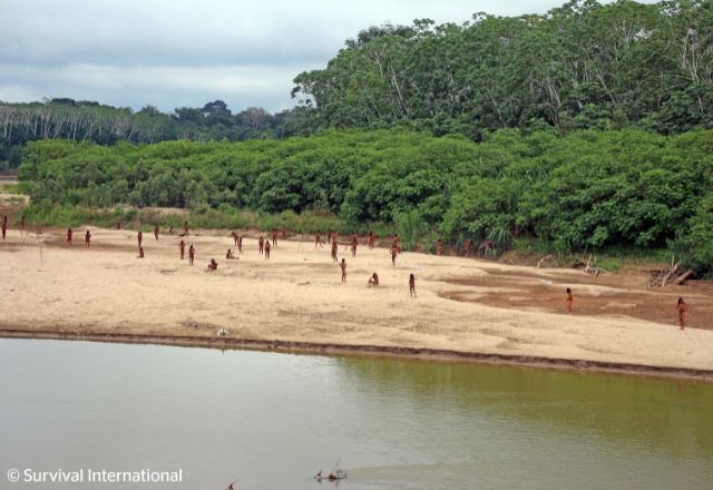 Tribo isolada na Amazônia peruana é vista próxima à área de exploração | Divulgação/ Survival International