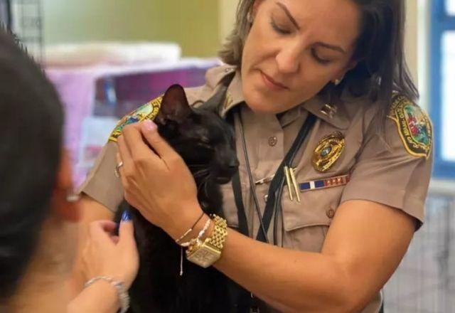 Animal foi achado por um voluntário que ajudava nas buscas | Reprodução/Twitter