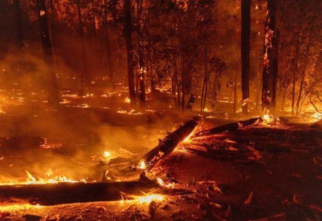 Chamas foram impulsionadas pelo tempo quente e seco | Reprodução/Twitter