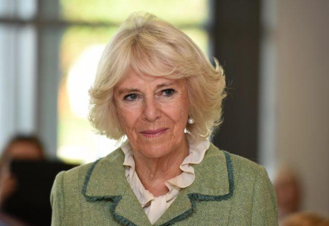 Apesar de ter ingressado na família real em 2005, a história de Camilla e Charles começou na década de 1970 | Reprodução/Twitter RoyalFamily