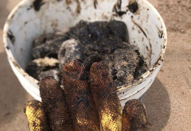 Resíduos apareceram nas orlas de seis municípios e também em praias da Bahia e Paraíba | Reprodução/Twitter