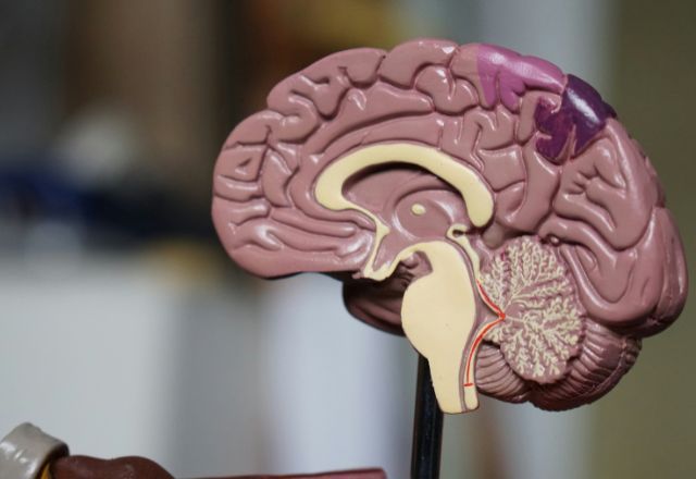 União Europeia aprova uso de medicamento inédito para tratamento do Alzheimer
