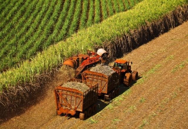 Colheitadeira em funcionamento em plantação (Divulgação/Unica)
