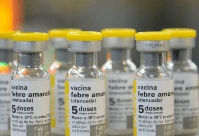 Febre amarela: novo tratamento contra doença pode reduzir risco de morte em até 84%
