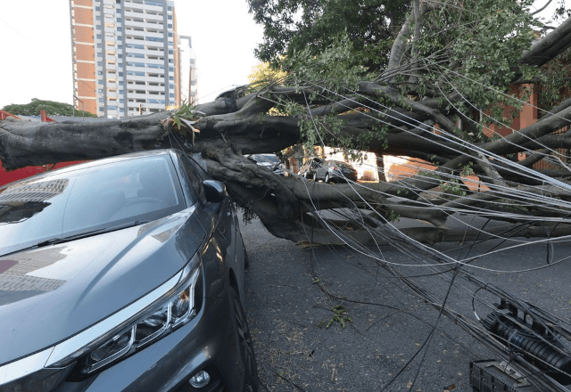 Vendaval causou estragos e afetou distribuição de energia em SP | Divulgação/Paulo Pinto/Agência Brasil