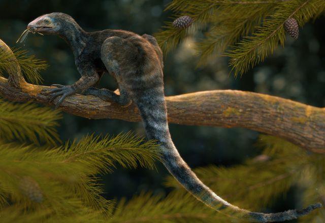 Venetoraptor gassenae, réptil pré-histórico que habitou a Terra antes dos pterossauros, há 230 milhões de anos