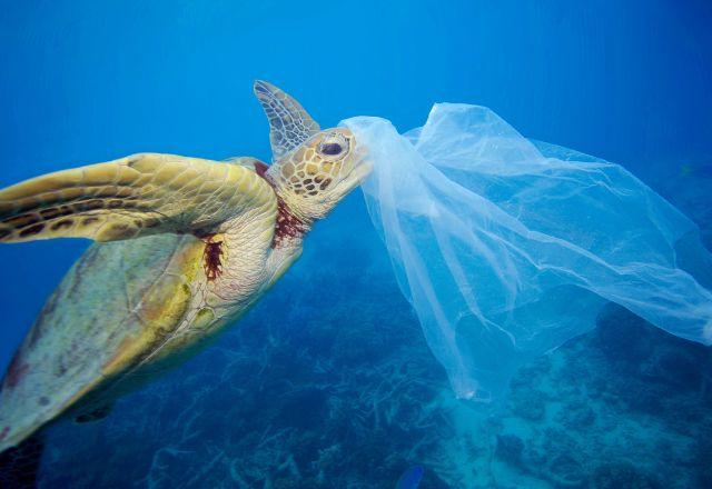 Hoje, 11 milhões de toneladas de plástico fluem para os nossos oceanos | Divulgação/WWF Brasil