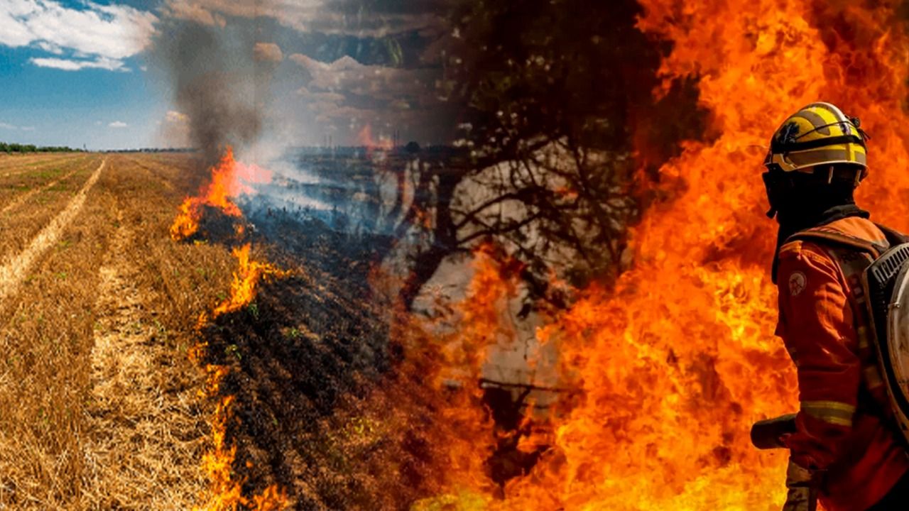 Poder Expresso: os efeitos dos incêndios no país; mortes e prejuízos financeiros