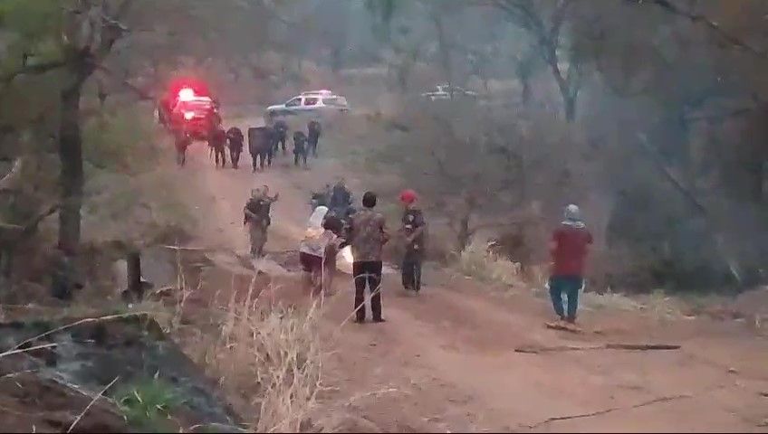 Reprodução/Nhanderu Marangatu