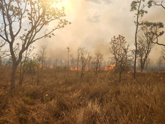 Parque Nacional de Brasília nesta segunda-feira (16) | Foto: Divulgação/ICMBio 