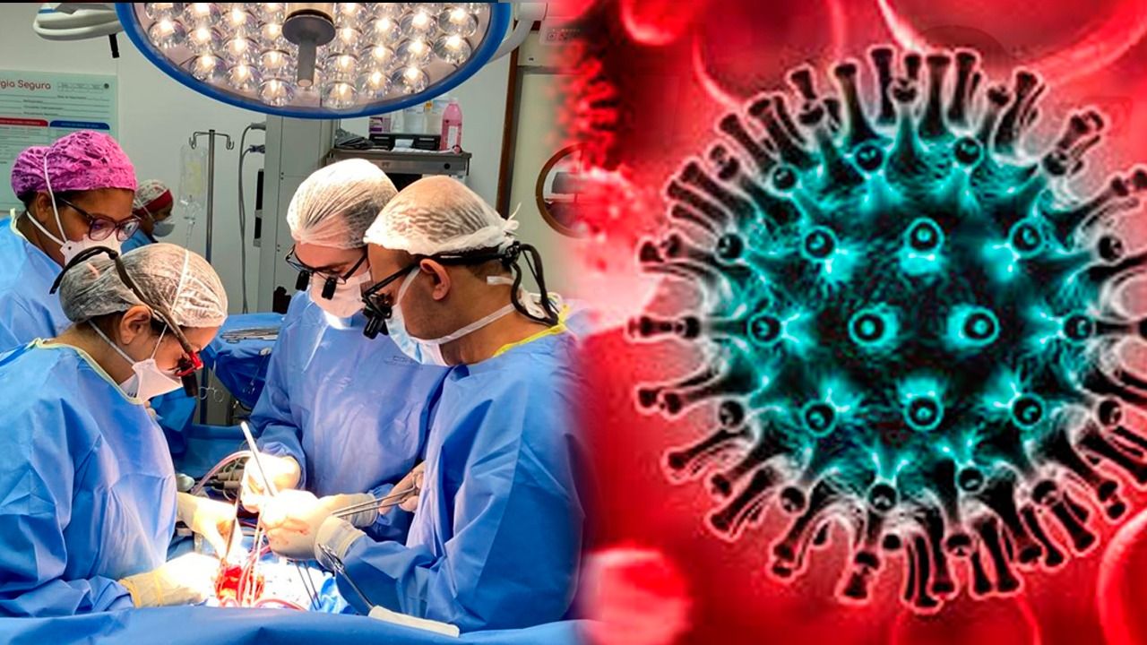 Poder Expresso: o que se sabe sobre 6 pacientes transplantados que receberam órgãos com HIV
