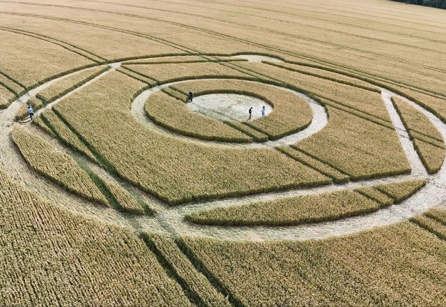 Marcas misteriosas em plantações de trigo de Santa Catarina. | Fábio Wilcke