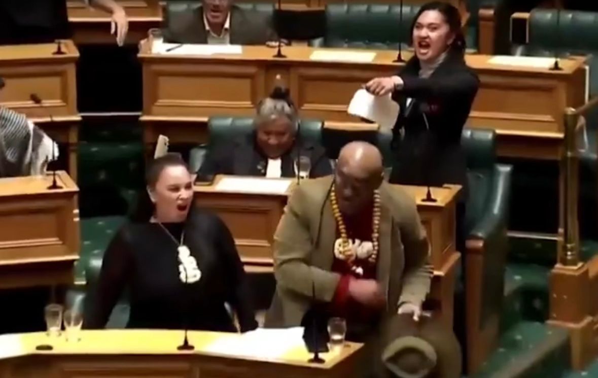 Deputados da Nova Zelândia dançam 'haka' em protesto contra projeto de lei - Reprodução