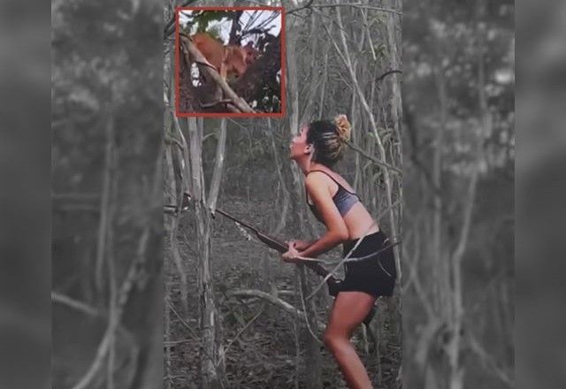 No vídeo, a mulher mira e dispara. Na sequência, quatro cães atacam o animal | Reprodução/Ibama
