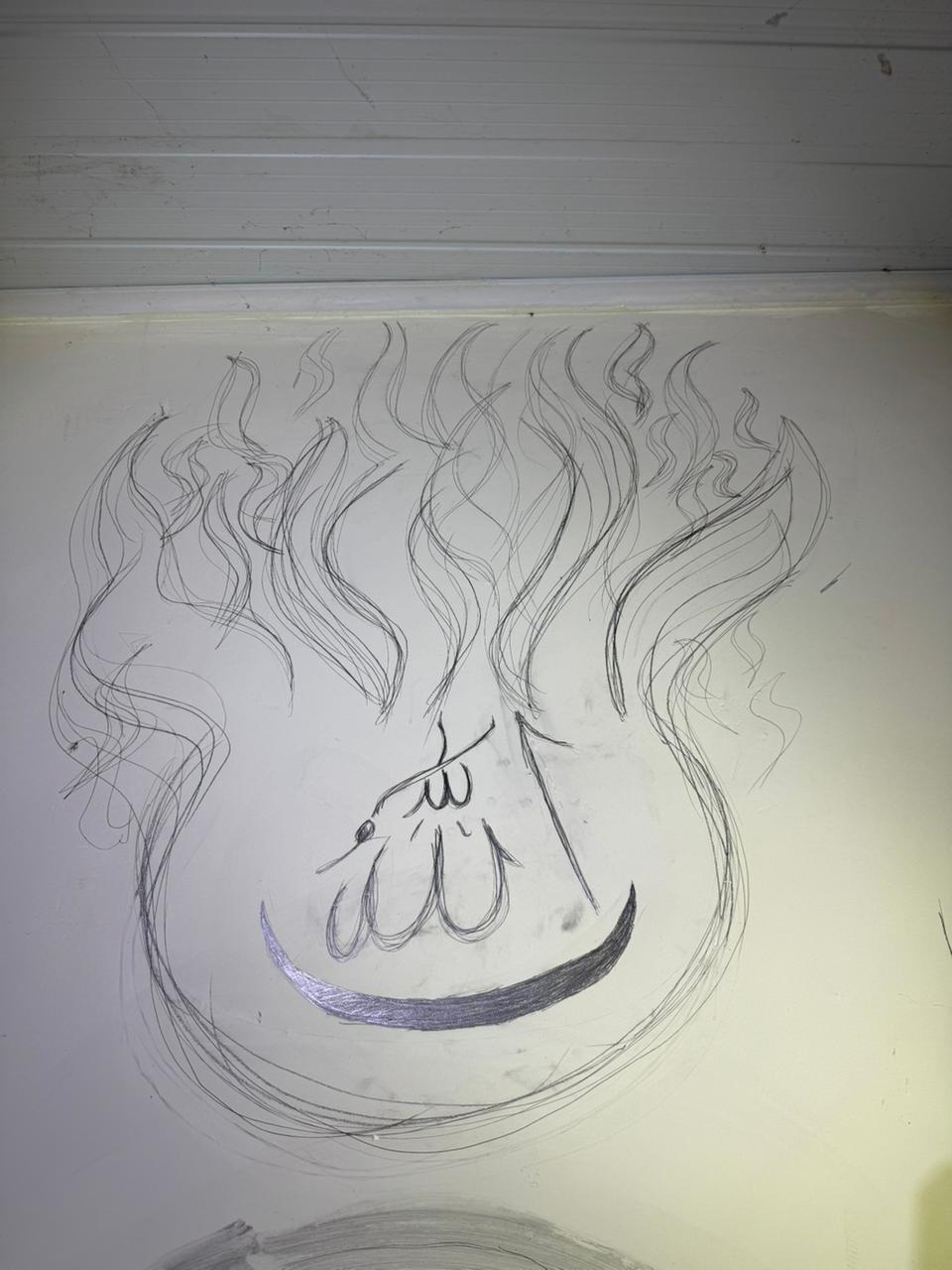 Desenhos extremistas na parede da casa do suspeito, em Goiânia | Reprodução