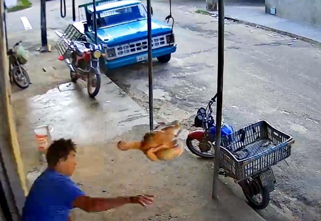 Imagem do frango voando após ser jogado por um homem ao reagir a um assalto (Reprodução/Youtube)