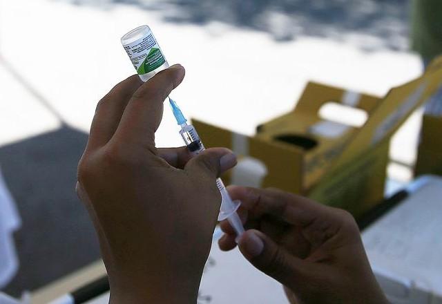a imagem mostra um frasco de vacina e uma seringa utilizados na vacinação contra gripe