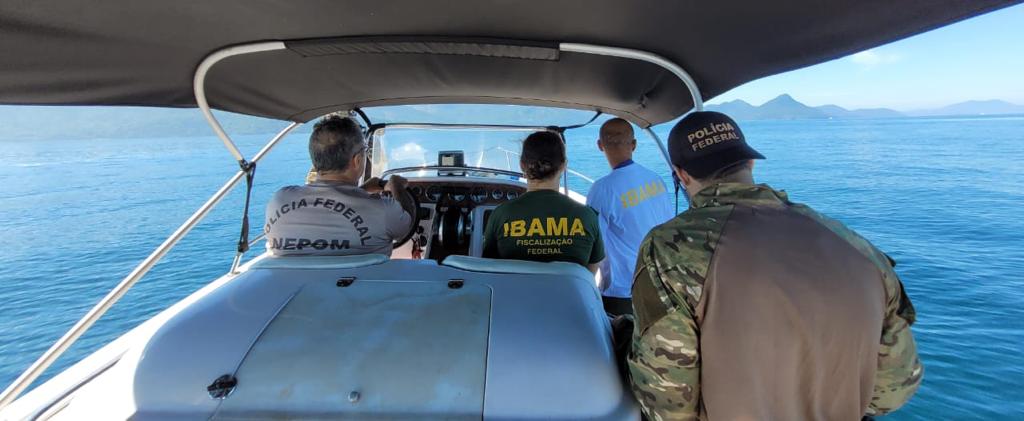 Operação foi deflagrada após denúncia anônima