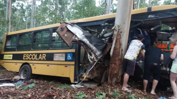Motorista de ônibus escolar acertou árvore no interior do RS. | Reprodução/SBT RS
