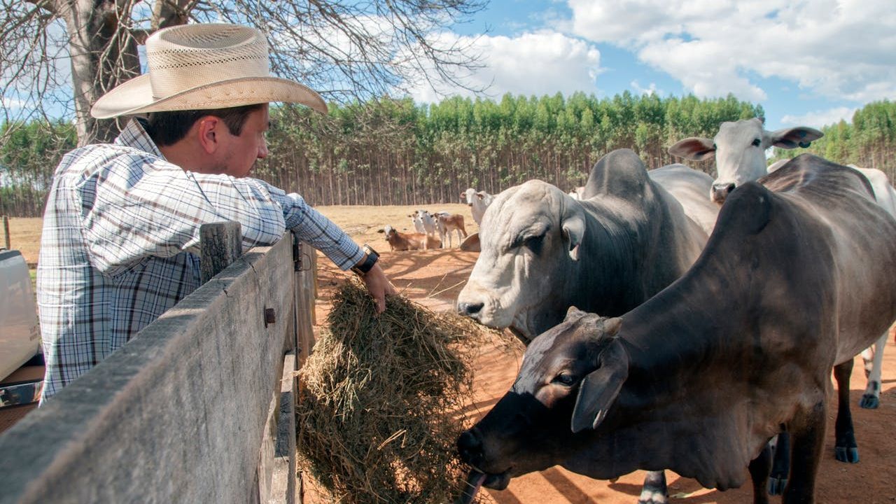 Imagem da notícia: Programa de 'Saúde no Campo' leva atendimento a produtores rurais Imagem da notícia: Programa de 'Saúde no Campo' leva atendimento a produtores rurais